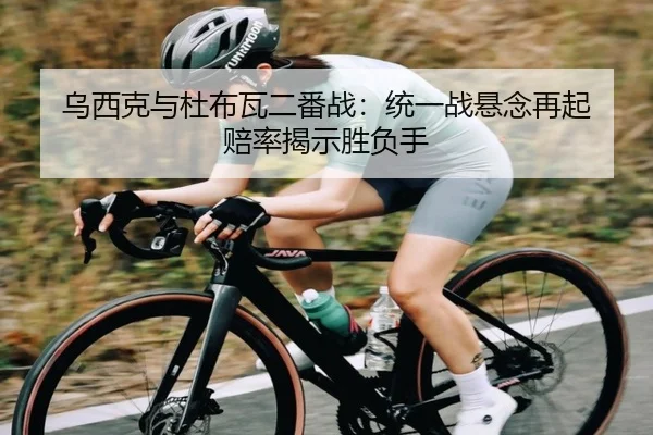 乌西克与杜布瓦二番战：统一战悬念再起 赔率揭示胜负手
